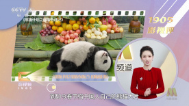 糖心vlog现在观看